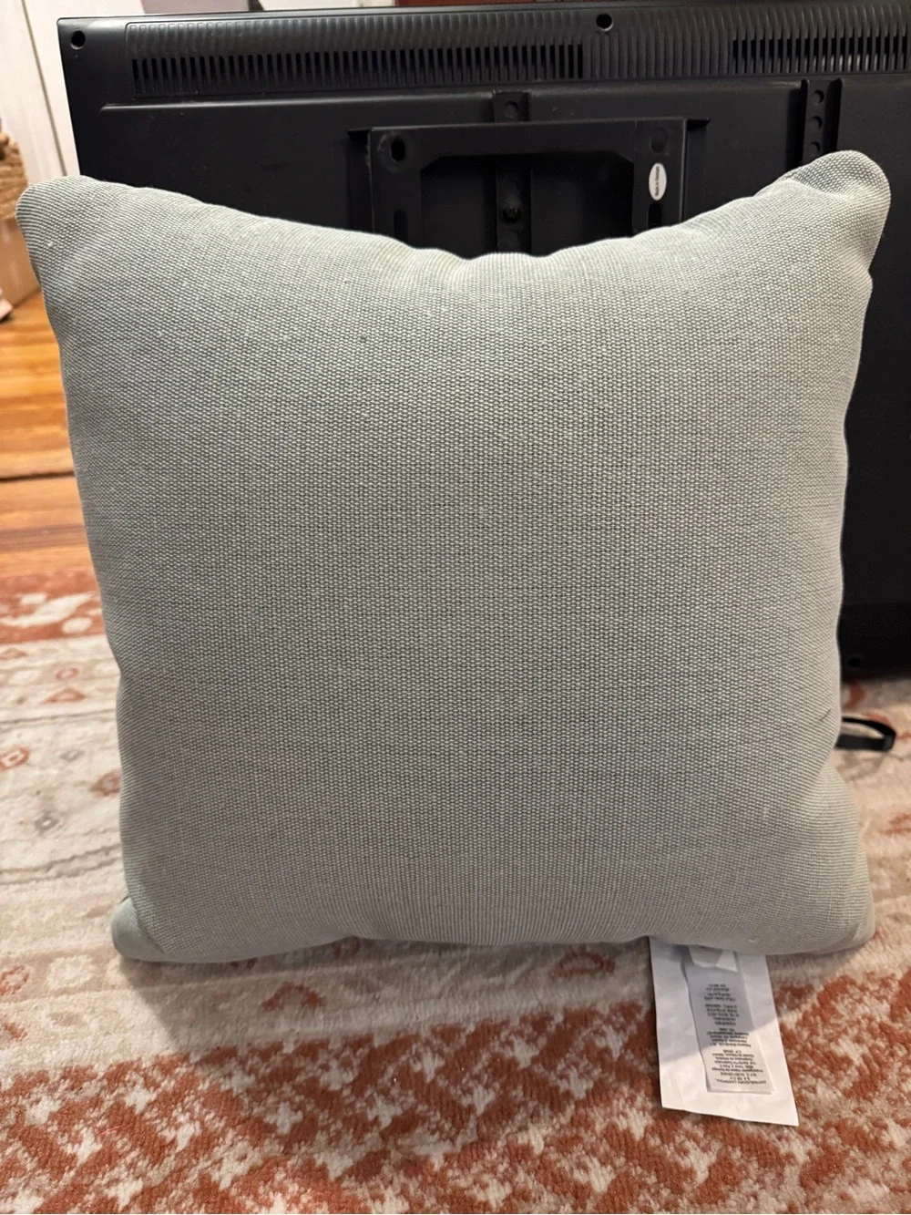 Outdoor Picnic Scene Decorative Pillow - Green & Cream